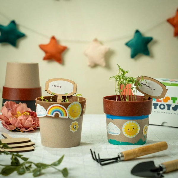 Craft Kits & DIY Projects