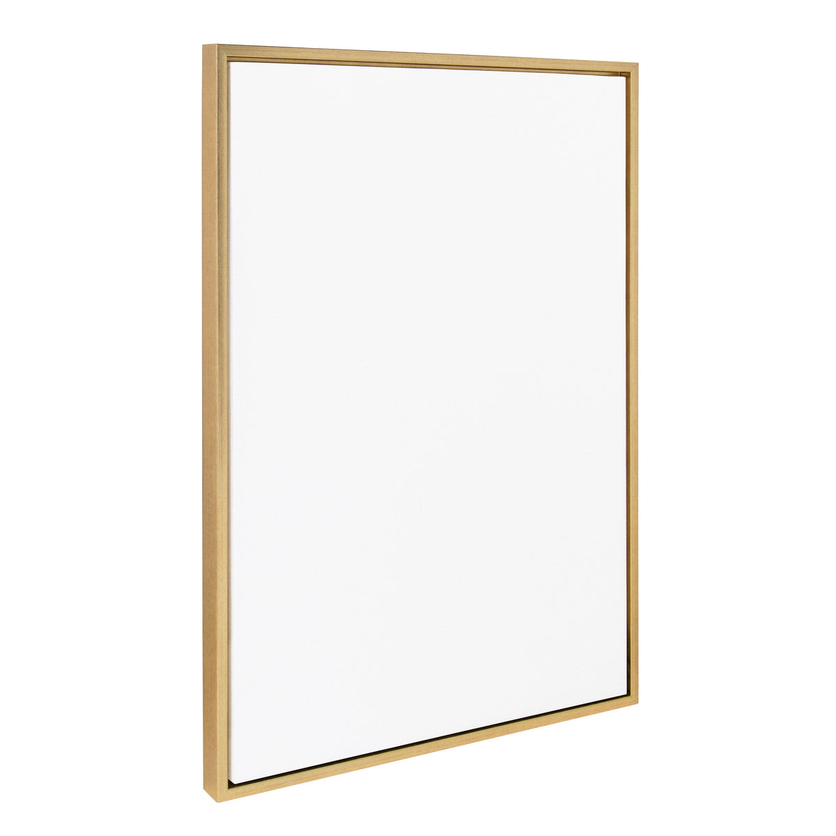 Sylvie Blank Framed Canvas 23x33 Inch Painting