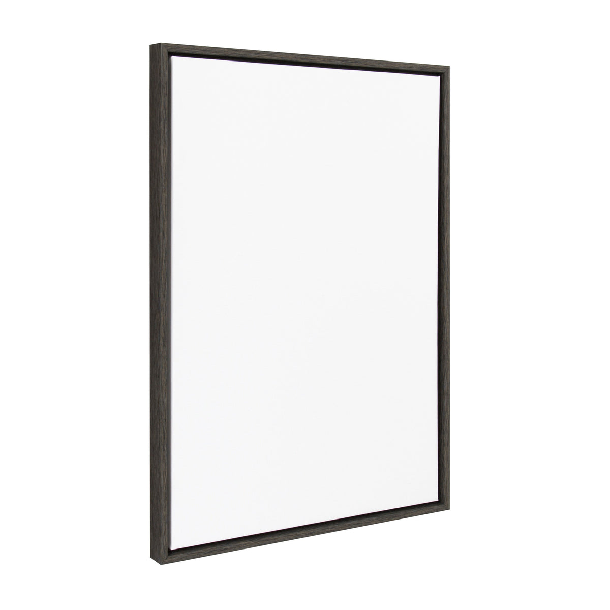 Sylvie Blank Framed Canvas 23x33 Inch Painting